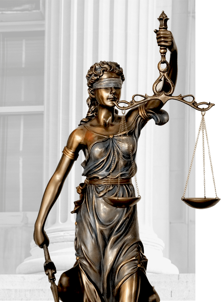 Why Choose partition Action Law Firm